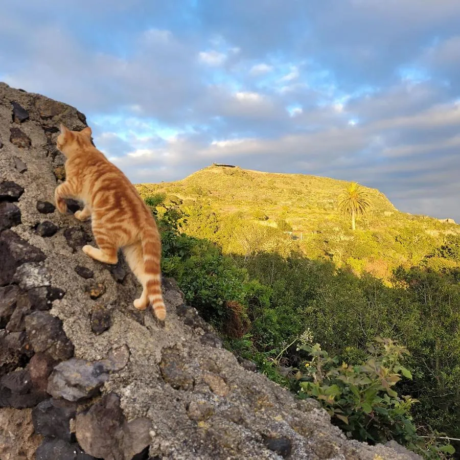 Finca El Lance Guest House El Tanque